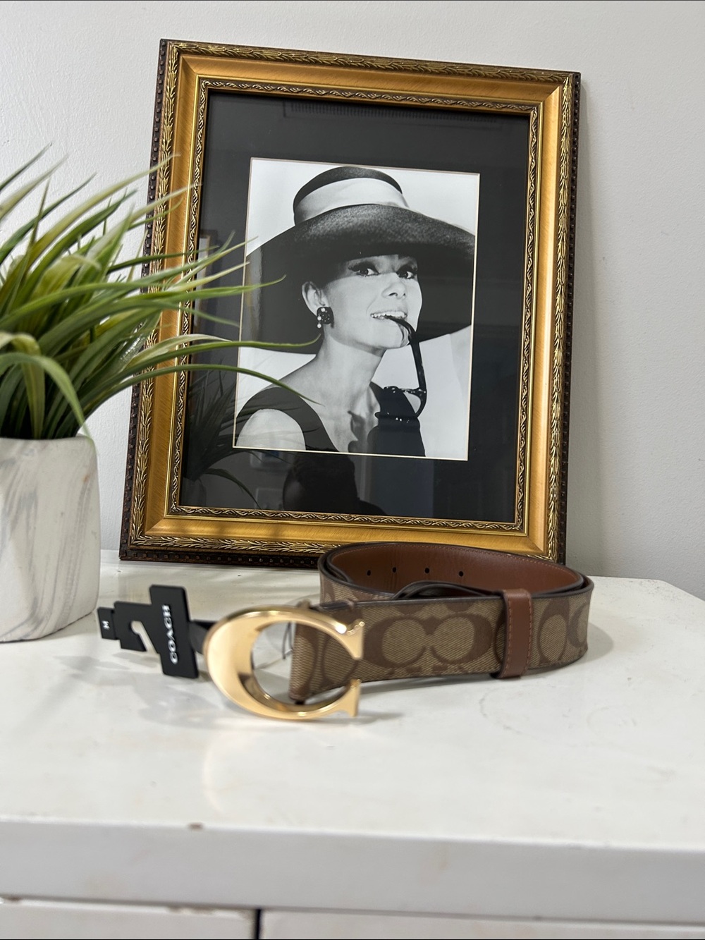 Coach Brown Signature Canvas Belt with Gold Oval Buckle